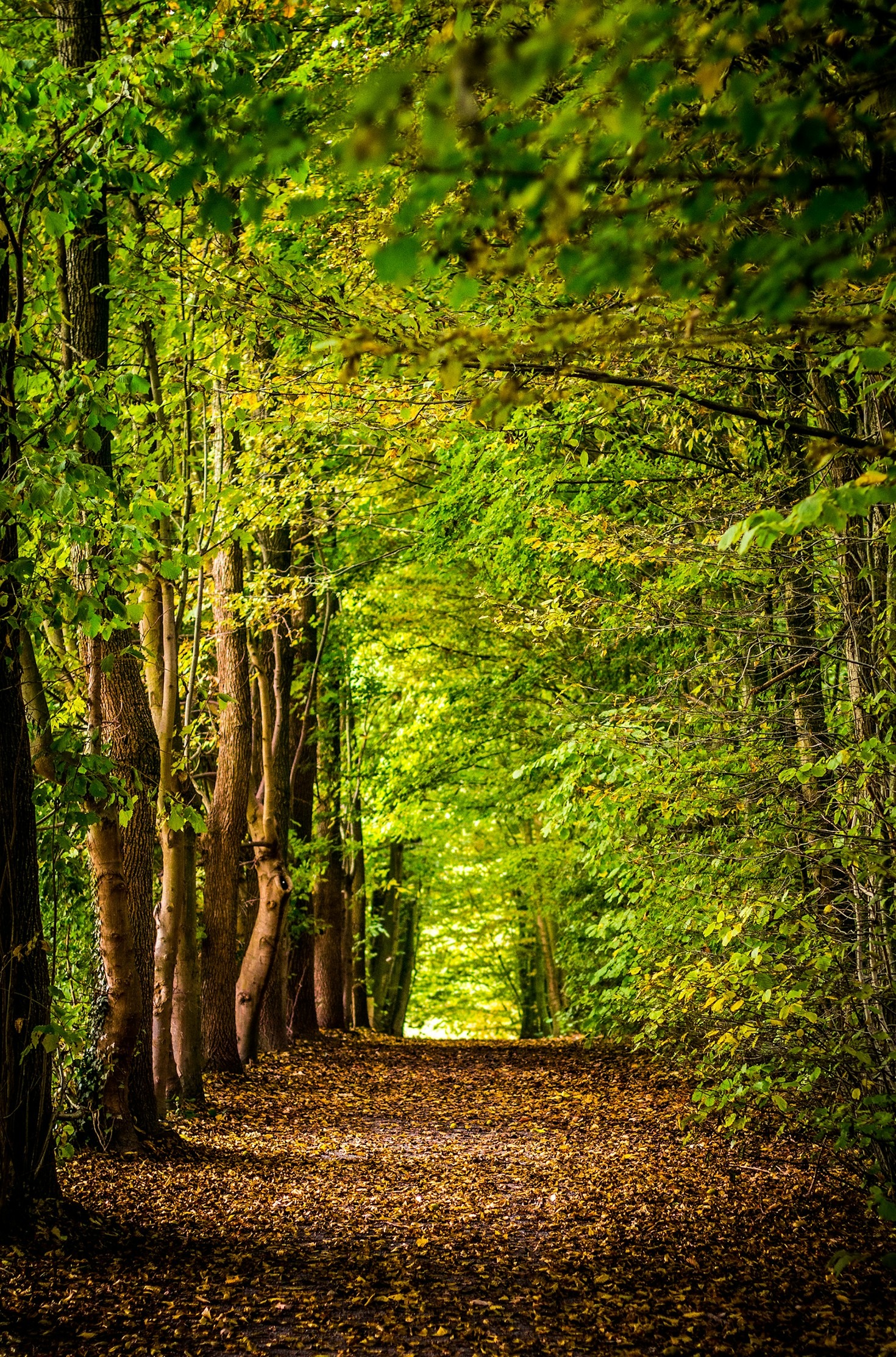Die Herausforderungen beim Start eines Blogs