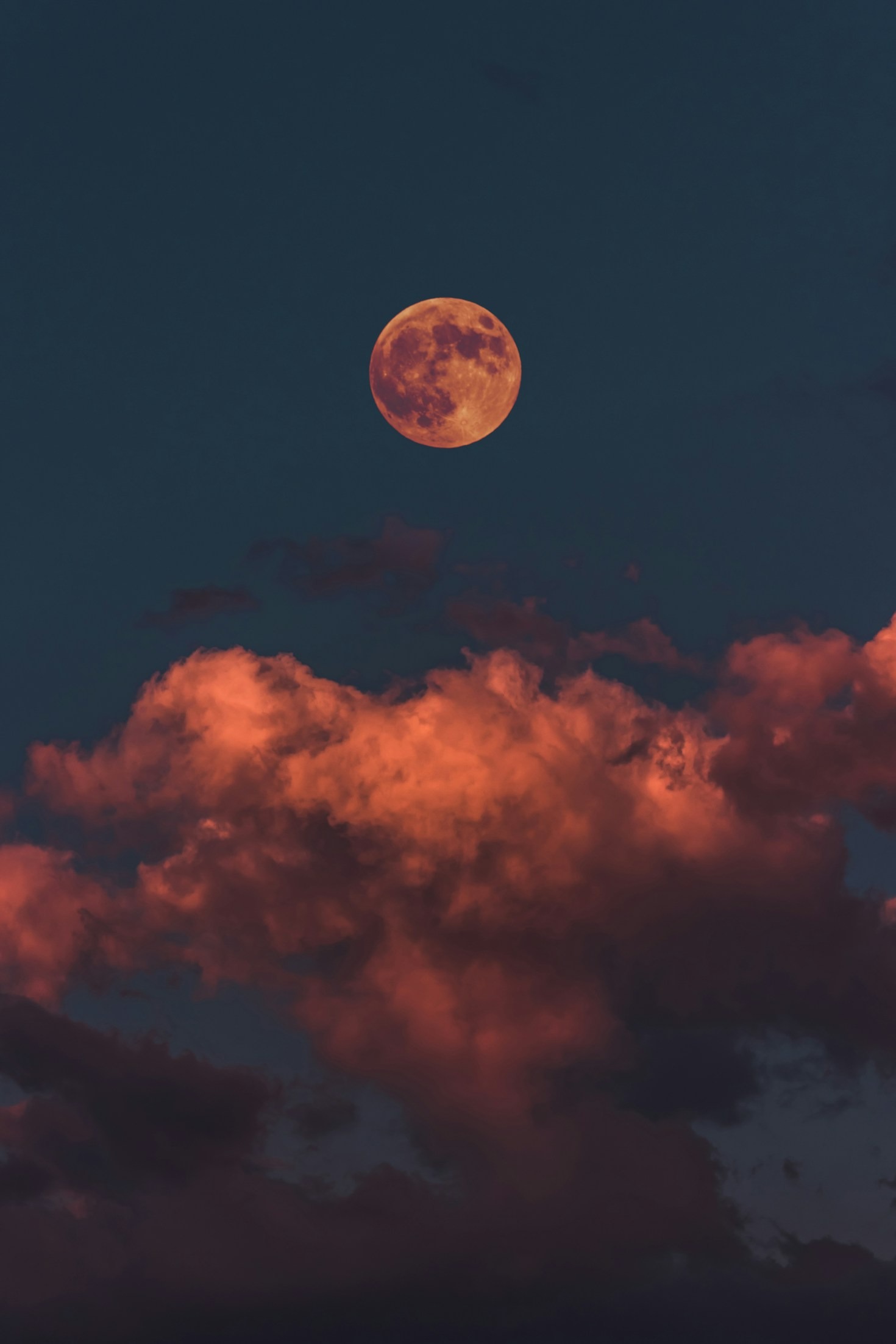 Hinter den Kulissen meines Blogs
